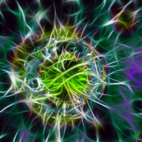 abstract bacteria