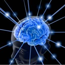 AppIntel feeds the brain