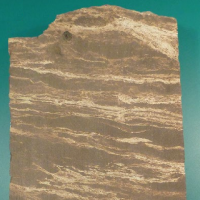 core photo