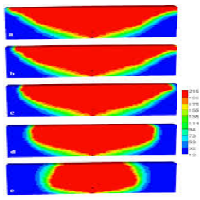 NCG visualization